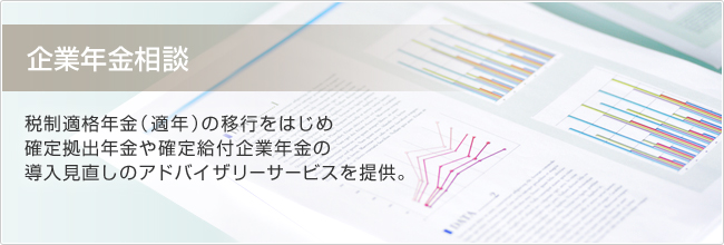 企業年金相談　税制適格年金（適年）の移行をはじめ確定拠出年金や確定給付企業年金の導入見直しのアドバイザリーサービスを提供。